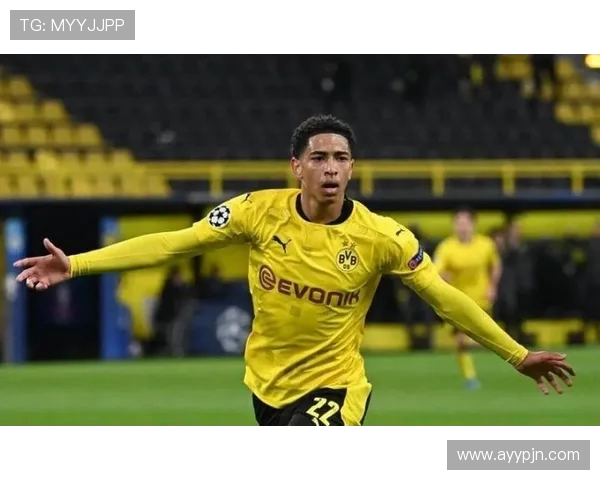 法甲球员综合排名榜：多维度衡量下的最佳球员