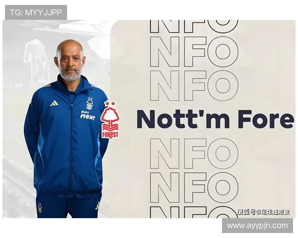 英超球队的引援策略