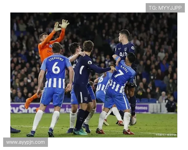 莱切斯特城足球俱乐部在英超联赛中的表现解析